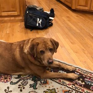 Meet your Posher, Cindy